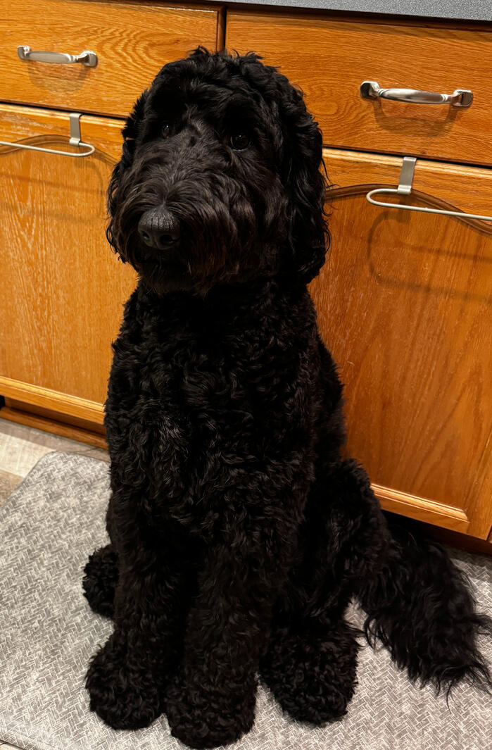 I Sit So Pretty!