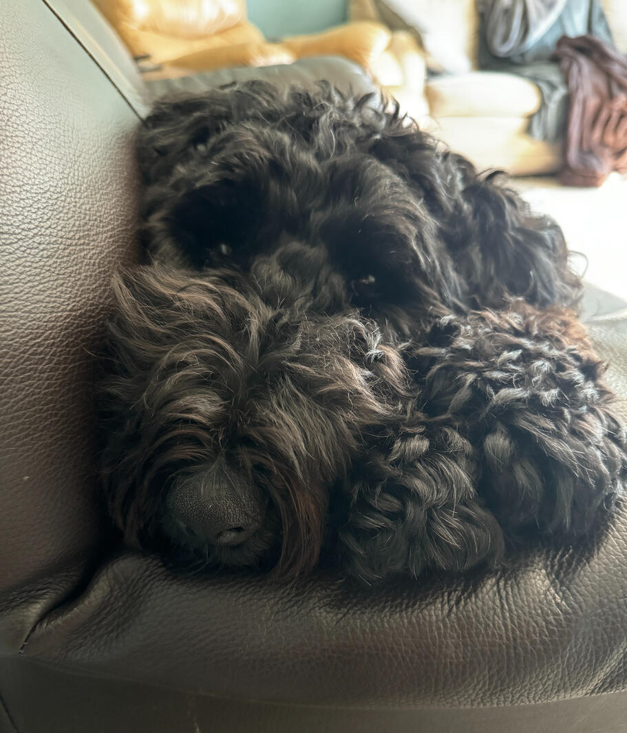 I look like a carpet!