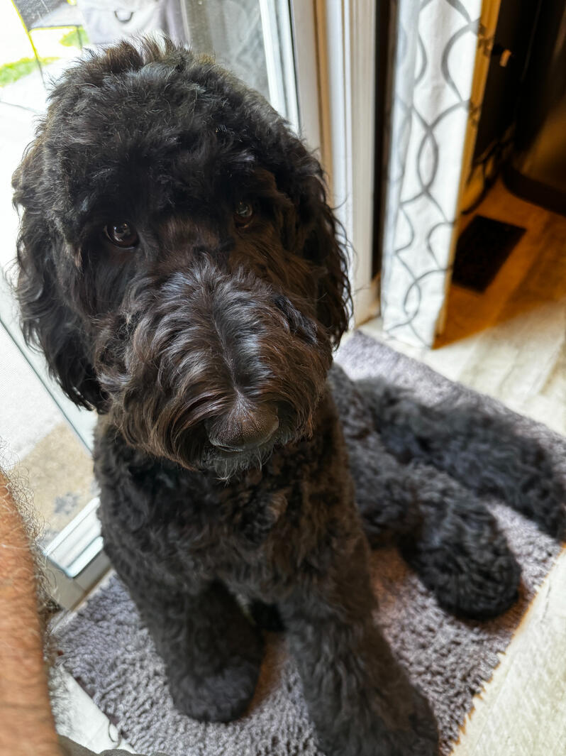 Begging for food? Maybe!