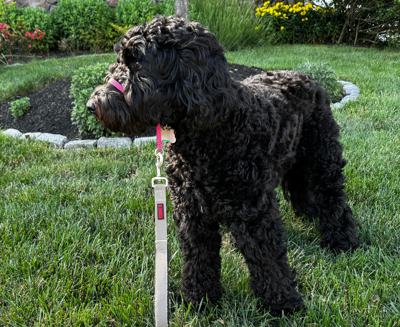 Feeling Pretty. Such Good lighting!