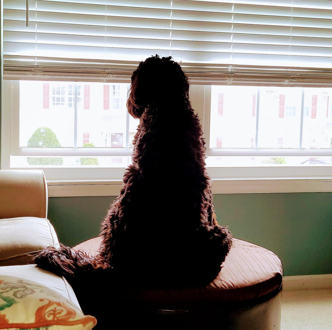 When's Mommy Coming Home?