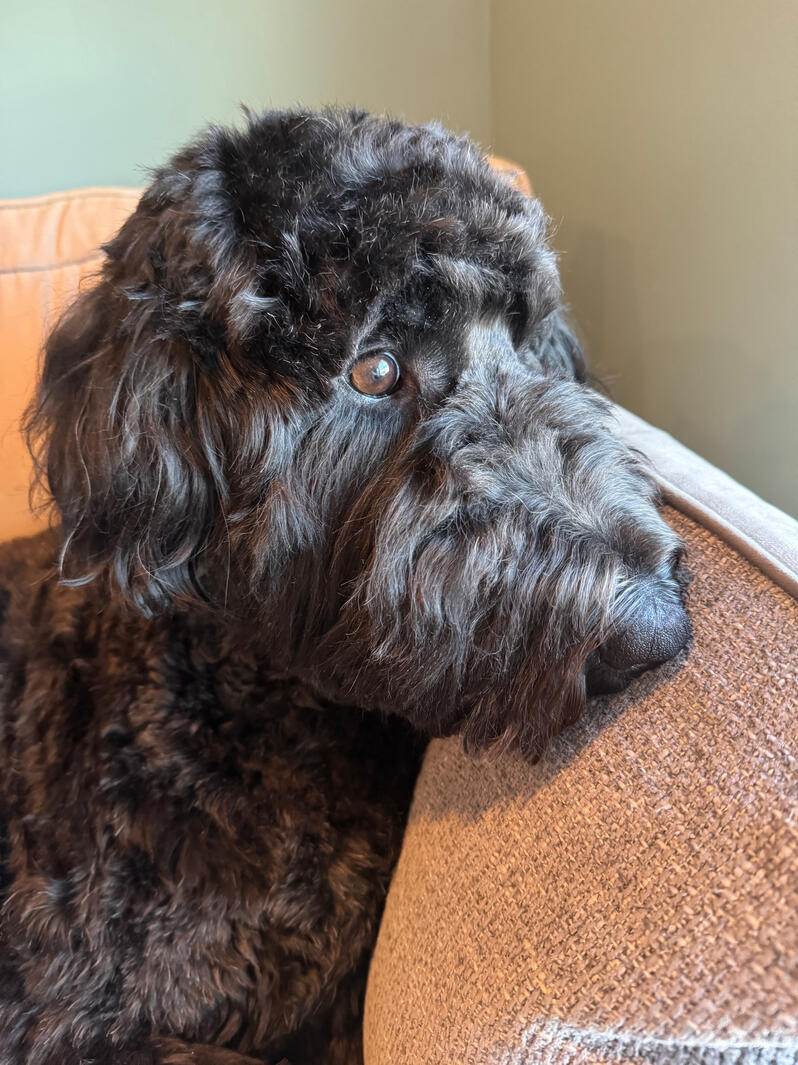 Looking out at the World