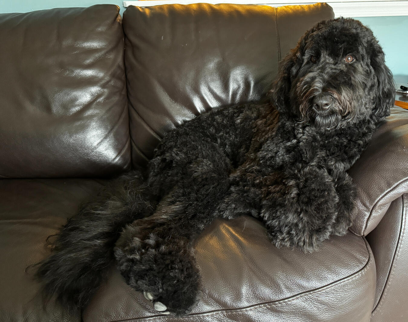 May I help you? I&#39;m the princess.