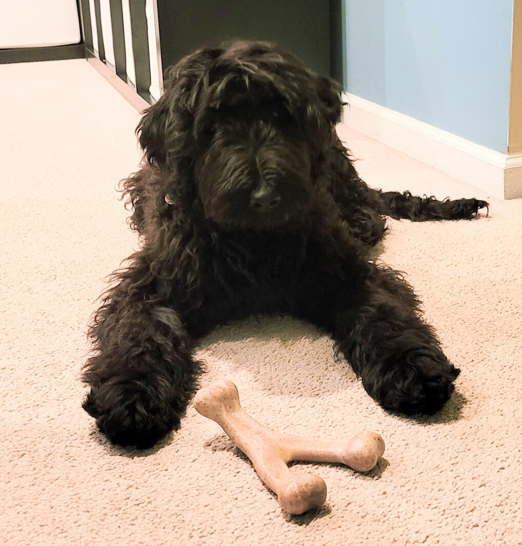 Me at 5 months old. I got so much bigger! 😂